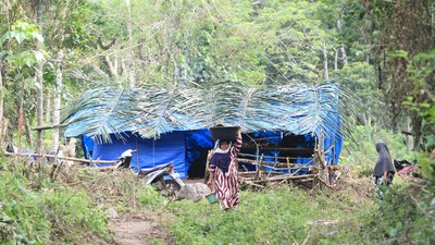 Rumah Lenyap Diseret Banjir, Warga Nagan Raya Bertahan di Tenda Hutan