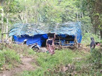 Rumah Lenyap Diseret Banjir, Warga Nagan Raya Bertahan di Tenda Hutan