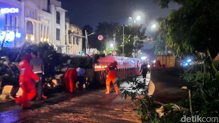 Pohon Tumbang di Pinangsia Jakbar Dievakuasi, Jalan Mulai Bisa Dilintasi