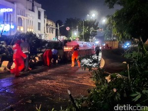 Pohon Tumbang di Pinangsia Jakbar Dievakuasi, Jalan Mulai Bisa Dilintasi