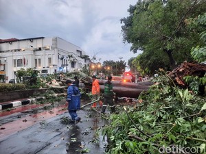 Penampakan Pohon Tumbang di Pinangsia Jakbar Tutup Jalan