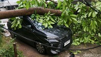 Pohon Tumbang Menimpa 2 Mobil di Pangeran Jayakarta