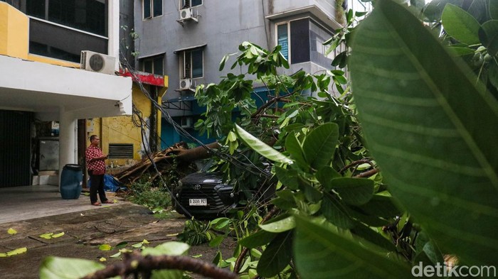 Pohon tumbang menimpa dua mobil di Jalan Pangeran Jayakarta, Jakarta Pusat, Jumat (12/12/2025). Peristiwa terjadi usai hujan deras disertai angin kencang yang mengguyur kawasan tersebut pada sore hari.