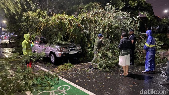 Pohon Tumbang Timpa Mobil di Medan, Lalu Lintas Dialihkan