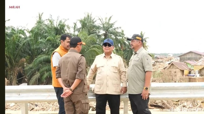 Prabowo Bakal Sikat Pembalakan Liar!