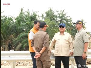 Prabowo Bakal Sikat Pembalakan Liar!