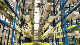 Ini Dia Agrowisata Vertical Farming Tertinggi di Indonesia