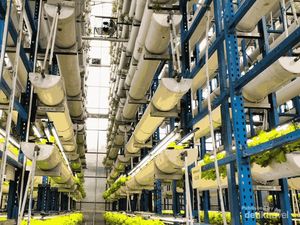 Ini Dia Agrowisata Vertical Farming Tertinggi di Indonesia