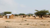 Pemukiman gersang di Turkana menunjukkan kondisi hidup masyarakat pastoral yang dilanda kekeringan panjang dan kelaparan, diperburuk oleh terhentinya suplai bantuan gizi yang sebelumnya didukung USAID. REUTERS/Monicah Mwangi