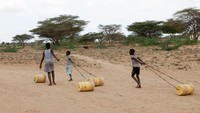 Anak-anak menarik jerigen air di tanah kering Turkana, wilayah yang mengalami kekeringan ekstrim dan rawan pangan.  REUTERS/Monicah Mwangi