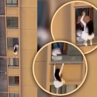 Viral Aksi Nekat Selingkuhan Panjat Dinding Apartemen Demi Hindari Istri Sah