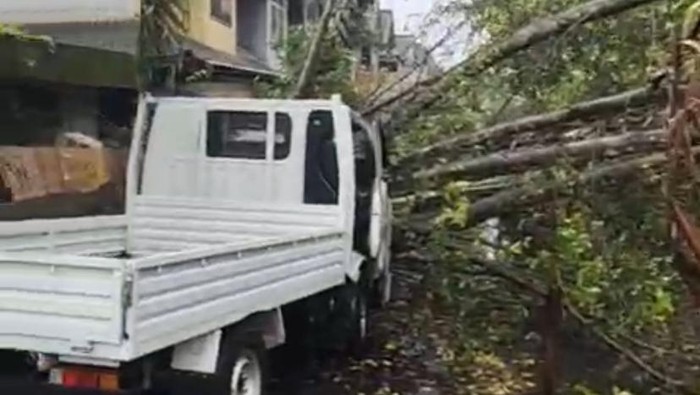 Pohon Tumbang Timpa Pikap Parkir di Pasar Mattirowalie Barru