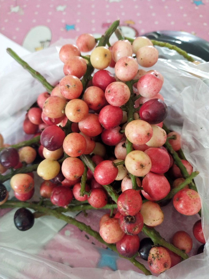 Buah endemik Indonesia.