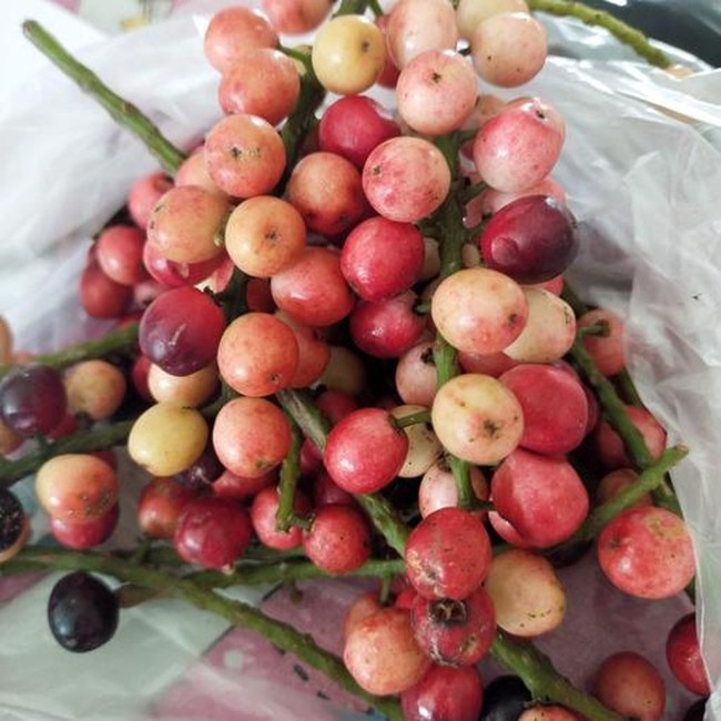 8 Buah Endemik Indonesia Ini Mulai Langka, Tahu Namanya?