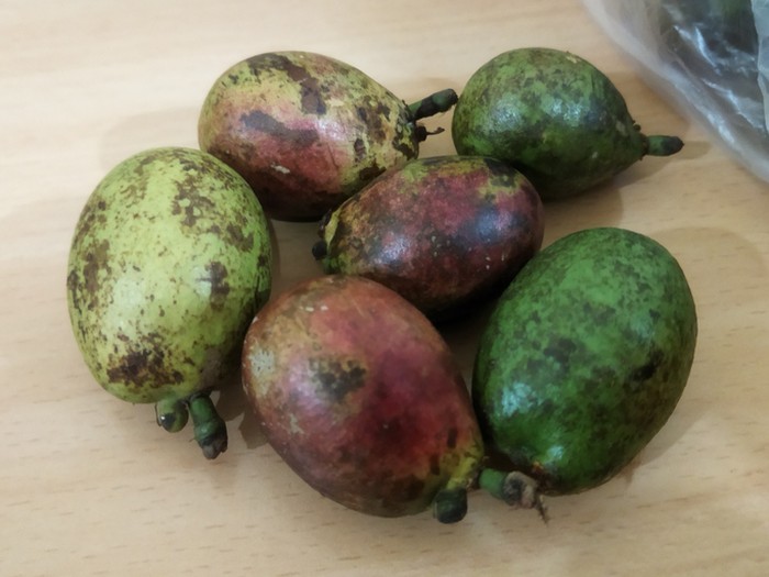 Buah endemik Indonesia.