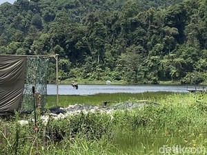 Gagahnya Raja Dirgantara Terbang di Cakrawala Situ Gunung