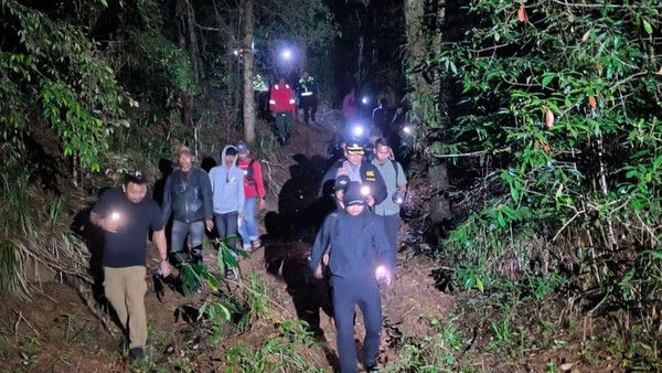 Polisi Usut Dugaan Illegal Logging Bikin Hutan Lindung di Gowa Gundul
