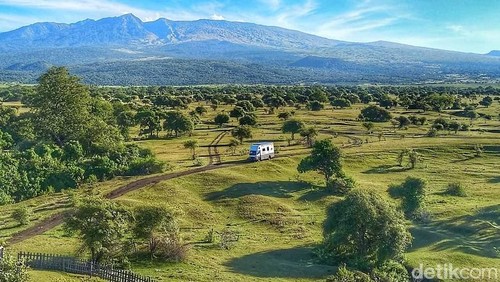 Padang Savana Doro Ncanga Gunung Tambora di Taman Nasional Tambora Dompu, NTB. (Foto: Dok. Istimewa)