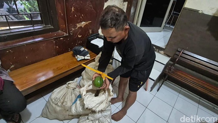 Komplotan Maling Alpukat di Kendal Kepergok Warga, 1 Ditangkap-3 Buron