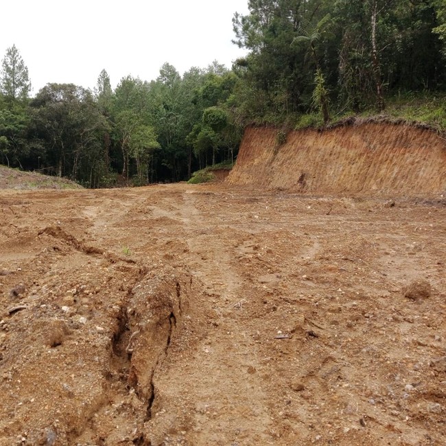 Potret Puluhan Hektare Hutan Lindung Gundul di Gowa Akibat Illegal Logging