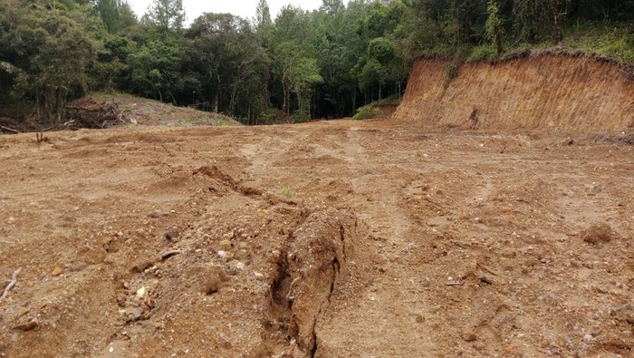 Penampakan puluhan hektare hutan lindung di Gowa menjadi gundul akibat illegal logging.