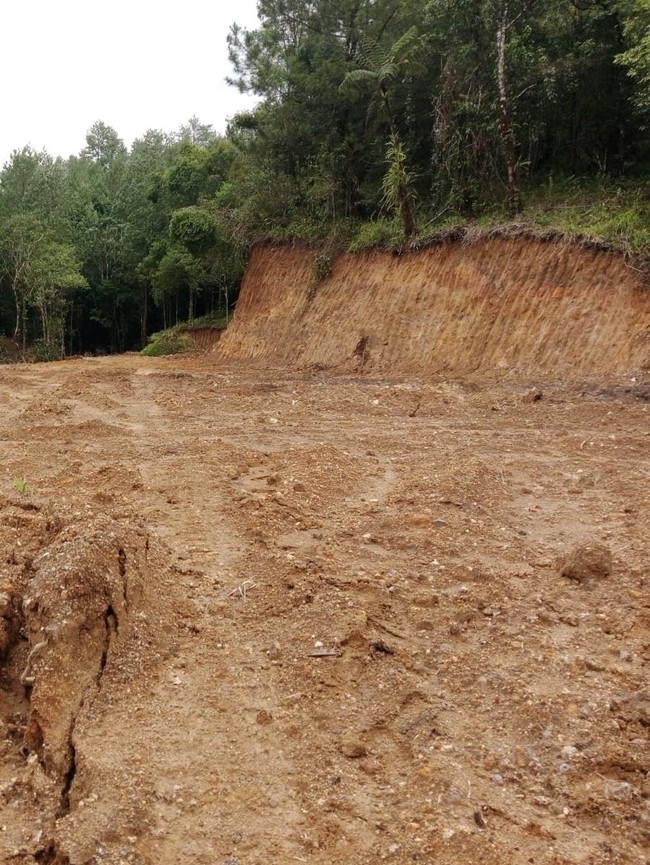 Potret Puluhan Hektare Hutan Lindung Gundul di Gowa Akibat Illegal Logging