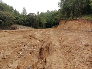 Ekskavator Dipakai Babat Hutan Lindung Gowa Ditemukan di Bone