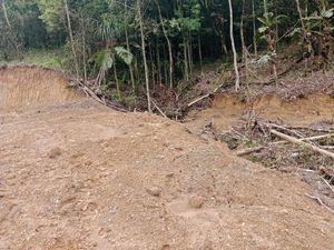 Dugaan Pelanggaran Berat KSU Jaya Abadi di Balik Hutan Lindung Gowa Dibabat