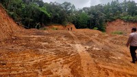 Tim gabungan juga menemukan kerusakan di lokasi tersebut seperti hamparan hutan gundul, hingga kontur bukit yang terbelah. Kondisi itu disebut menjadi indikator kuat bahwa perambahan melibatkan peralatan skala besar. Foto: (dok. istimewa)