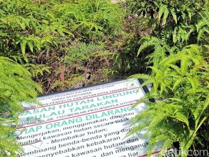 Plang Penanda Hutan Lindung Roboh, KPH Tarakan Buru Pelaku