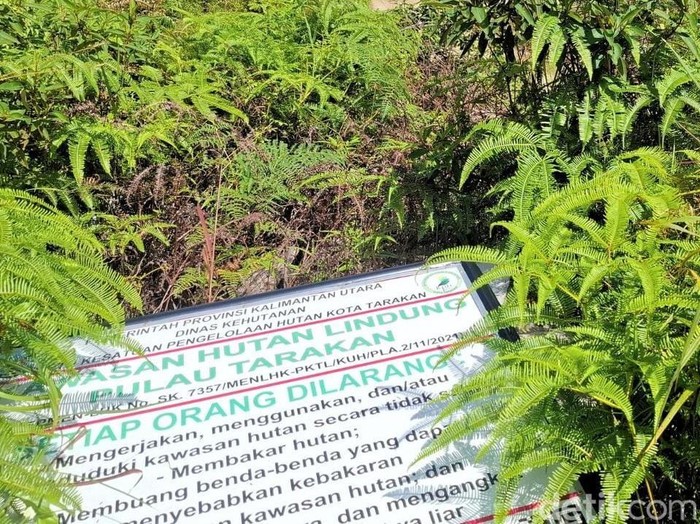 Plang penanda kawasan hutan lindung di Tarakan roboh.