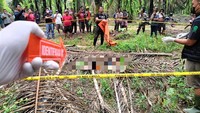 Hilang Sepekan, Jasad Siswa SMK Lampung Ditemukan Membusuk di Kebun Sawit