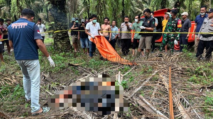 Siswa SMK Ditemukan Tewas di Kebun Sawit Lampung Diduga Korban Pembunuhan
