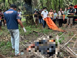 Siswa SMK Ditemukan Tewas di Kebun Sawit Lampung Diduga Korban Pembunuhan