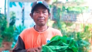 Video: Bercocok Tanam di Bawah Kolong Jalan Tol