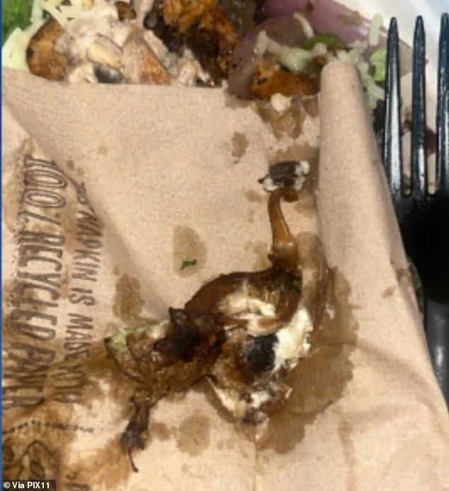 Bikin Trauma! Wanita Ini Duga Gigit Bangkai Tikus di Burito Pesanannya Bikin Trauma! Wanita Ini Duga Gigit Bangkai Tikus di Burito Pesanannya