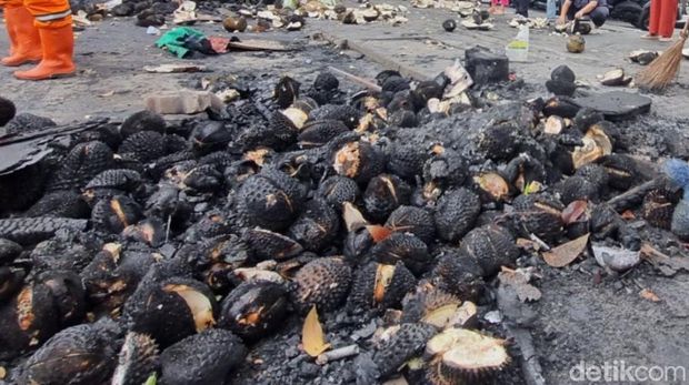 Durian hangus saat kios di Kalibata dibakar imbas pengeroyokan matel. (Taufiq/detikcom) Durian hangus saat kios di Kalibata dibakar imbas pengeroyokan matel. (Taufiq/detikcom)