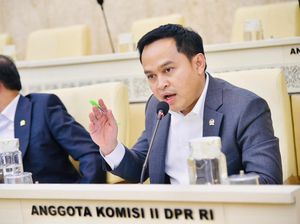 Ide Pilkada Tanpa Wakil, NasDem Singgung Banyak Kepala Daerah Kena OTT