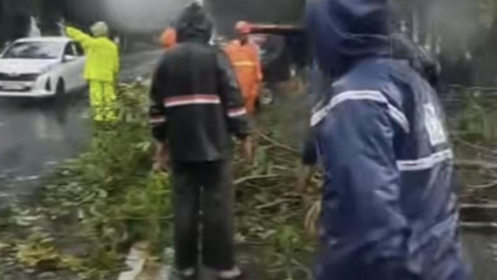 Ini Faktor Penyebab Cuaca Ekstrem Tumbangkan Sejumlah Pohon di Surabaya