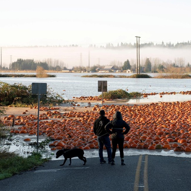 Sungai Atmosfer Picu Banjir di Pasifik Barat Laut