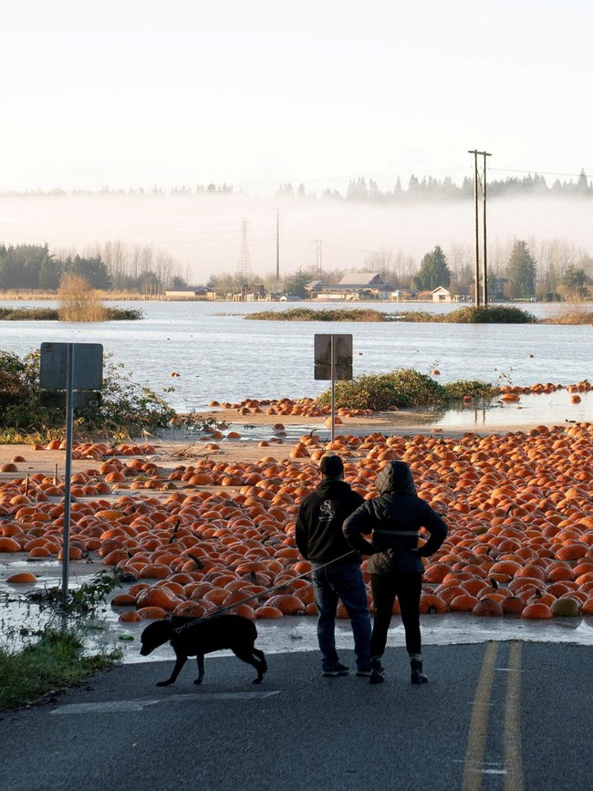 Sungai Atmosfer Picu Banjir di Pasifik Barat Laut
