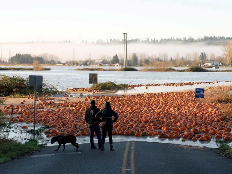 Sungai Atmosfer Picu Banjir di Pasifik Barat Laut