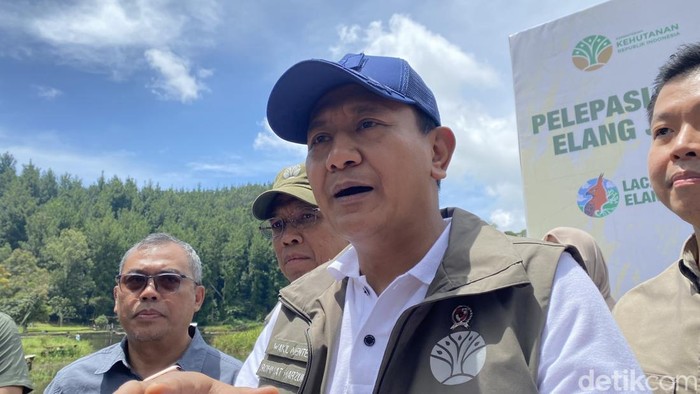 Krisis Hutan di Jabar, Sejumlah Gunung Diusulkan Jadi Kawasan Konservasi