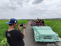 Serunya Bernostalgia di Atas VW Sembari Nikmati Suasana Pedesaan Kulon Progo