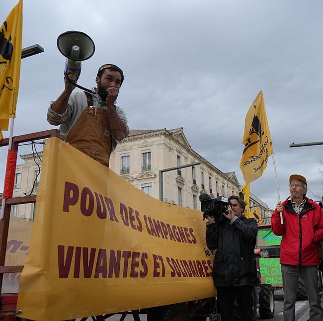 Petani Prancis Gelar Aksi di Avignon, Tolak Pemusnahan Massal Sapi