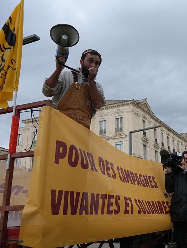 Petani Prancis Gelar Aksi di Avignon, Tolak Pemusnahan Massal Sapi