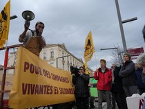 Petani Prancis Gelar Aksi di Avignon, Tolak Pemusnahan Massal Sapi