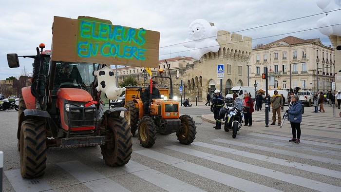 AVIGNON, FRANCE - DECEMBER 15: More than a hundred farmers from the Confederation Paysanne unions rally in Avignon to denounce the French government's handling of contagious nodular dermatitis in cattle, opposing mass herd culls and calling for increased use of vaccination, on December 15, 2025. Demonstrators, including tractors and farm vehicles, gathered outside the local prefecture to protest sanitary protocols requiring the slaughter of entire herds when the disease is detected. (Photo by Mathieu Prudhomme/Anadolu via Getty Images)
