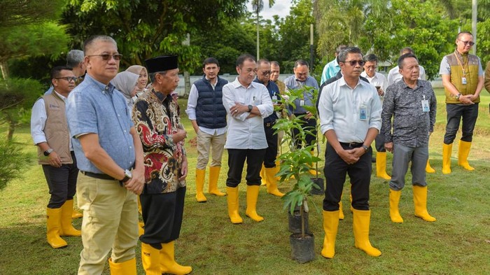 Bank Sumsel Babel Luncurkan Program 1 Tree 1 Employee