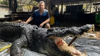 Terkuak! Ini Penyebab Kematian Buaya Raksasa Cassius